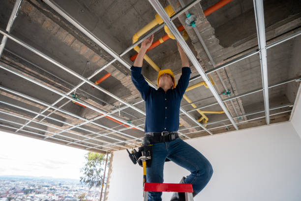 Best Plumbing Services Near Me  in East Lake Orient Park, FL