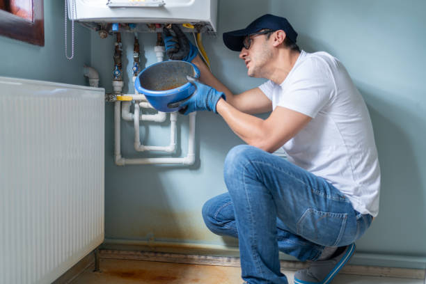 Best Local Plumber Services  in East Lake Orient Park, FL